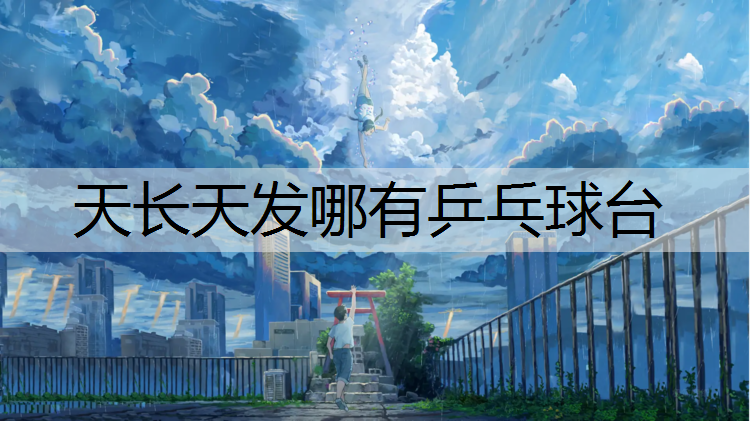 <strong>天长天发哪有乒乓球台</strong>