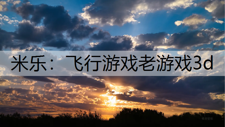 <strong>米乐：飞行游戏老游戏3d</strong>