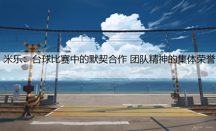 <strong>米乐：台球比赛中的默契合作 团队精神的集体荣誉</strong>