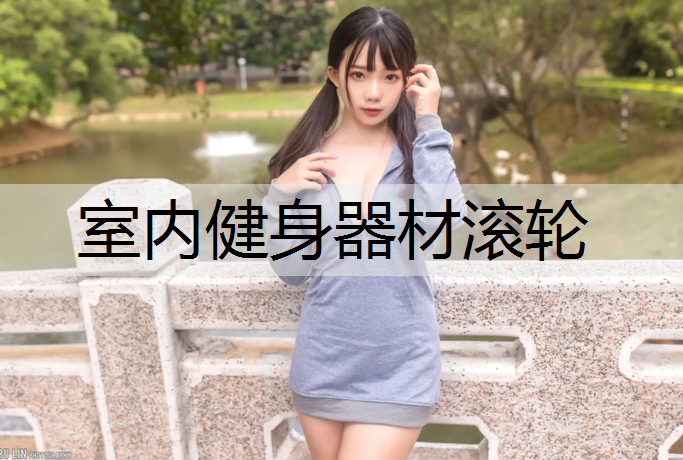 室内健身器材滚轮
